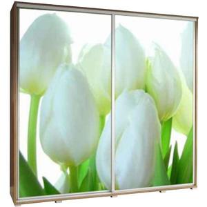 Skříň Penelopa 205 cm tulipány obraz