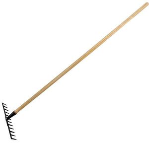 HRÁBĚ 12 ZUBŮ obraz