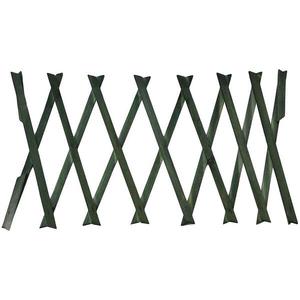 Zelený dřevěný žebřík TXG 0318 H30X180 obraz