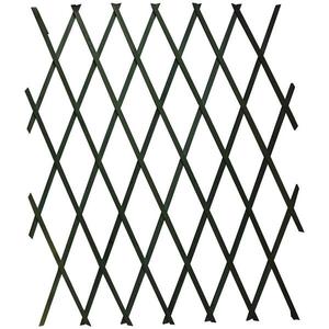 Zelený dřevěný žebřík TXG 1218 H120X180 obraz