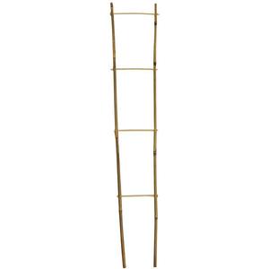 Bambusový žebřík FZ105 H105 10/14MM obraz