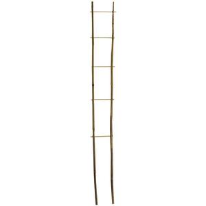 Bambusový žebřík FZ150 H150 10/14MM obraz