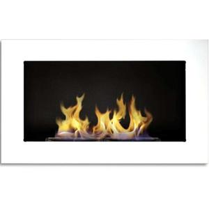 Biokrb 650x400 bílý lesk obraz