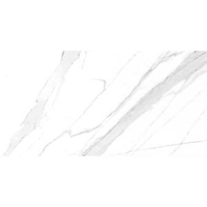 Dlažba Legal White 60/120 Rekt. obraz