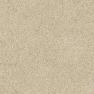 Dlažba Hektor Taupe 60/60 (2cm) obraz