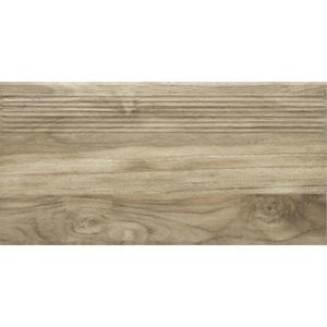 Schodová Dlažba Outlander Brown 30/60 obraz