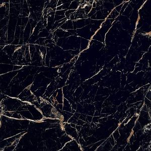 Dlažba Maxigen 60/60 Rekt. obraz