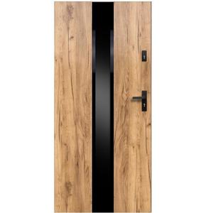 Vchodové dveře Neptun P55 90P dub sonoma černá inox/grafitová 2070x1000x55 mm obraz