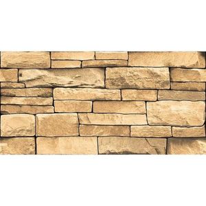 Fasádní Obklad Roma Brown Rekt. 30/60 obraz