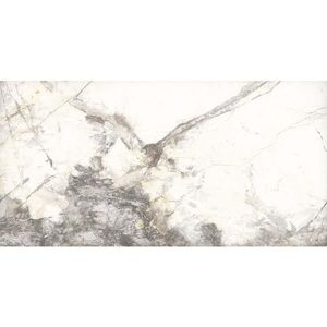 Dlažba Pasionate 60/120 Rekt. obraz