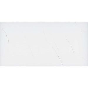 Dlažba Snow 60/120 Rekt. obraz