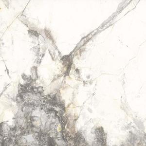 Dlažba Pasionate 60/60 Rekt. obraz