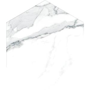 Dlažba Swan White Mate 21, 5/25 obraz