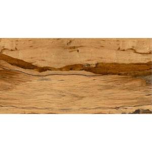 Dlažba Burningwood 60/120 obraz