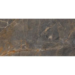 Dlažba Vector Grey 59.7/119.7 obraz