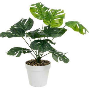 Umělá monstera (výška 38 cm) – Casa Selección obraz