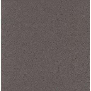 Technická Dlažba Salti Grey 30/30 obraz