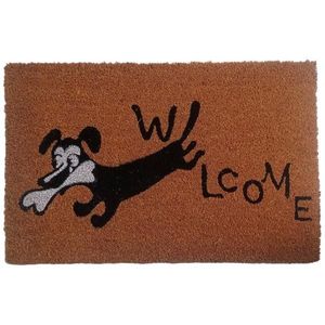 KOKOSOVÁ ROHOŽKA, obraz