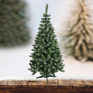 43NC STROMEK BOROVICE ŠIŠKA B 220 CM obraz