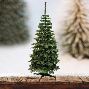 43NC JODŁA LEA CH0069 obraz