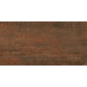 Dlažba Grunge Rust 60/120 obraz