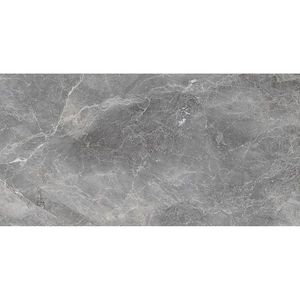 Dlažba Merison Grey 60/120 obraz