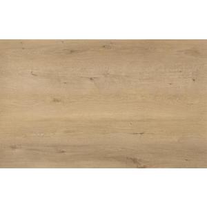 Vinylová podlaha lepená(Dry Back) Dub Belize 1513-1 2.0/0, 45mm obraz
