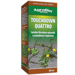 Touchdown quattro 250 ml obraz
