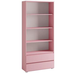 Regal Cosmo C03 růžový obraz