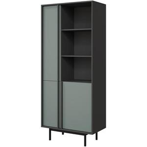 Vitrína Alsy 2 aloes/antracit obraz