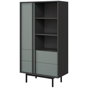 Vitrína Alsy 4 aloes/antracit obraz