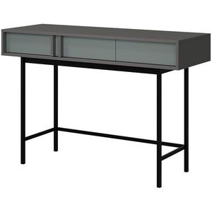 Psací stůl Alsy 11 aloes/antracit obraz