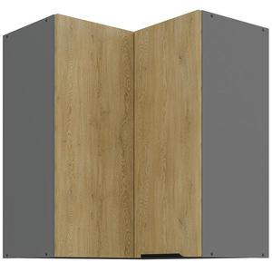 Kuchyňská skříňka Cremona Ant 60x60 Gn-72 2f (90°) obraz
