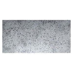 Panel terazo xl 50x100cm 1bal=4m2 obraz