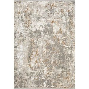 Koberec Salamanca 1, 33/1, 9 49094 YM3 X obraz