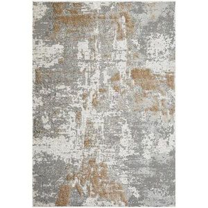 Koberec Salamanca 1, 33/1, 9 54016 YM3 V obraz