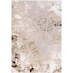 Koberec Salamanca 1, 33/1, 9 31030 XT7 Z obraz