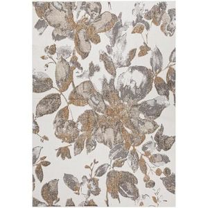 Koberec Salamanca 1, 33/1, 9 65000 YM3 X obraz