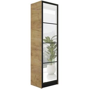 Skříň Eden 1D 53 dub craft zlatá vzor 1 obraz