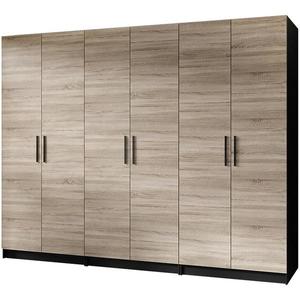 Skříň 3x Gold 2D černá/dub sonoma obraz