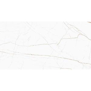 Dlažba Dicta White Mat Carving 60/120 obraz