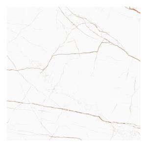 Dlažba Dicta White Mat Carving 60/60 obraz