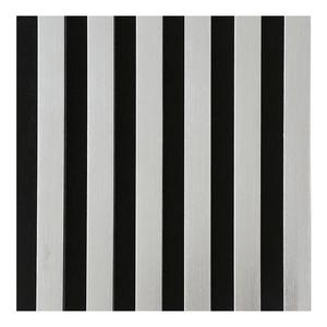 Akustické lamely s filcem stříbro 21x300x2650mm obraz