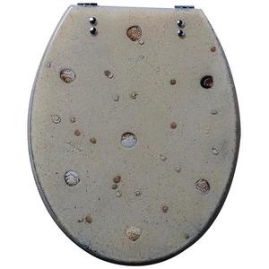 Wc sedátko mušle obraz