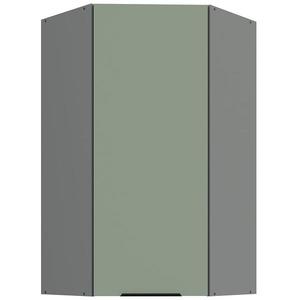 Kuchyňská skříňka Aria SA/ANT Anti Fingerprint 60x60 Gn-108 1f (45°) obraz