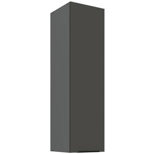 Kuchyňská skříňka Aria GR/ANT Anti Fingerprint 30g-108 1f obraz