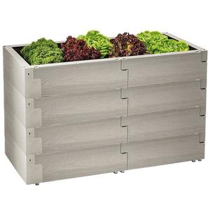 VYVÝŠENÝ ZÁHON JUWEL TIMBER 20471 obraz