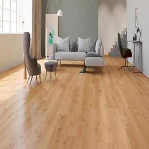 Laminátová podlaha voděodolná Dub Salome 8mm AC5 Skyline WR 56198 obraz