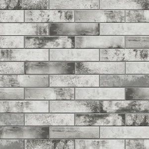 Piatto Gris 7, 4/30 obraz