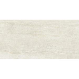 Taj Mahal Natural Rect. 60/120 obraz